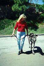 Sepp! : Karen and her dog, Sepp demonstrate effective Dog Training
