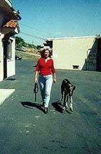 Heel off leash, pic 2 : Karen and her dog, Sepp demonstrate effective Dog Training