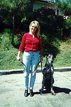 Automatic Sit at Heel : Karen and her dog, Sepp demonstrate effective Dog Training