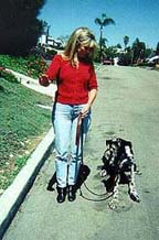 Down! : Karen and her dog, Sepp demonstrate effective Dog Training